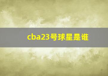 cba23号球星是谁