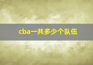 cba一共多少个队伍