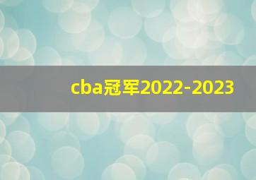 cba冠军2022-2023