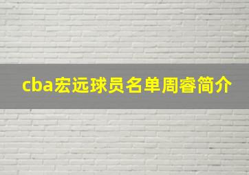 cba宏远球员名单周睿简介