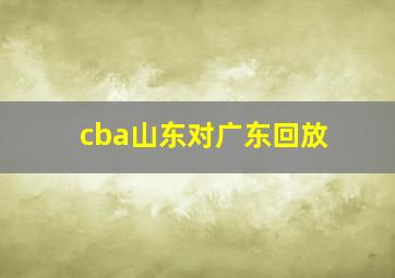 cba山东对广东回放