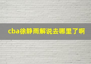 cba徐静雨解说去哪里了啊