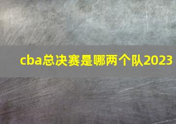 cba总决赛是哪两个队2023