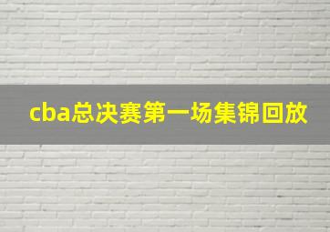 cba总决赛第一场集锦回放