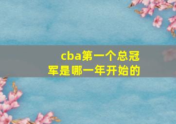 cba第一个总冠军是哪一年开始的