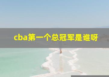 cba第一个总冠军是谁呀