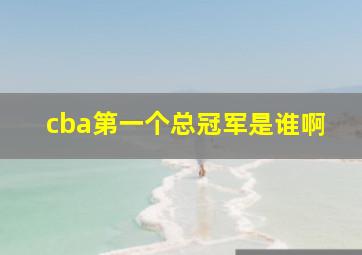 cba第一个总冠军是谁啊