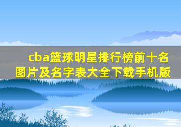 cba篮球明星排行榜前十名图片及名字表大全下载手机版