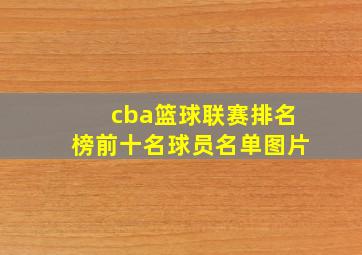 cba篮球联赛排名榜前十名球员名单图片