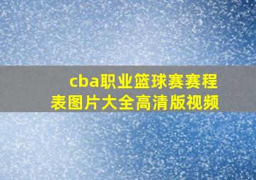 cba职业篮球赛赛程表图片大全高清版视频