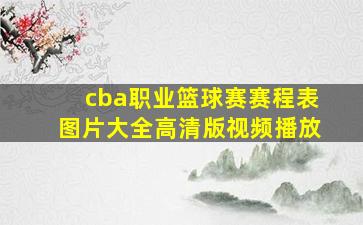 cba职业篮球赛赛程表图片大全高清版视频播放