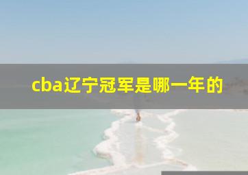 cba辽宁冠军是哪一年的