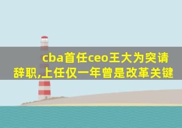 cba首任ceo王大为突请辞职,上任仅一年曾是改革关键