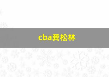 cba龚松林