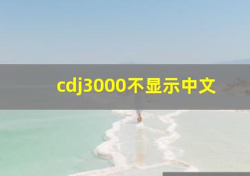 cdj3000不显示中文