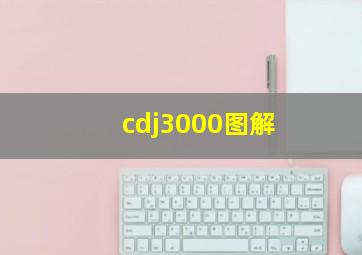 cdj3000图解