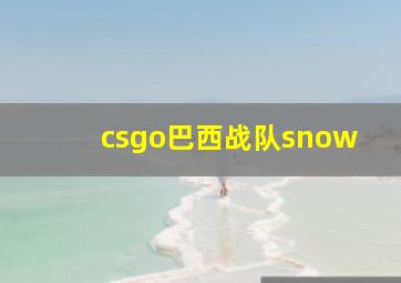 csgo巴西战队snow