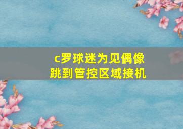 c罗球迷为见偶像跳到管控区域接机