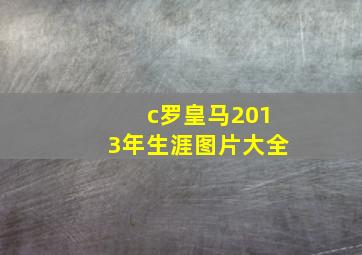 c罗皇马2013年生涯图片大全