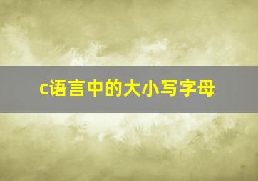 c语言中的大小写字母