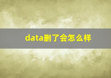 data删了会怎么样