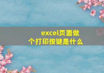 excel页面做个打印按键是什么