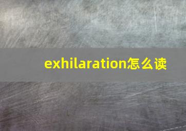 exhilaration怎么读