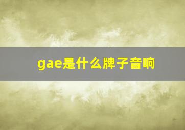 gae是什么牌子音响