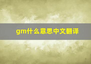 gm什么意思中文翻译