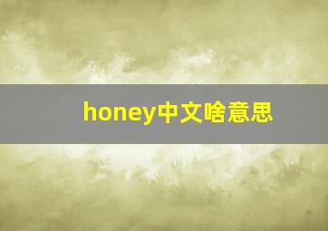 honey中文啥意思