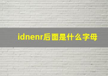 idnenr后面是什么字母