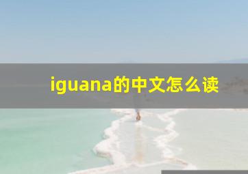 iguana的中文怎么读