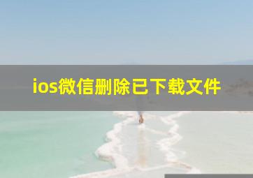 ios微信删除已下载文件