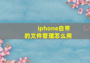 iphone自带的文件管理怎么用