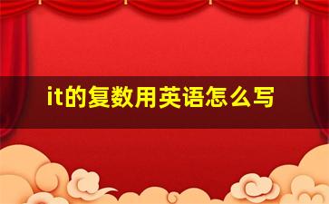 it的复数用英语怎么写