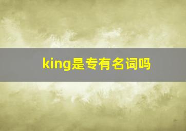 king是专有名词吗