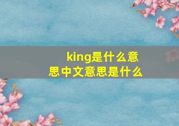 king是什么意思中文意思是什么