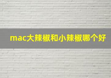 mac大辣椒和小辣椒哪个好