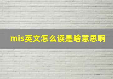 mis英文怎么读是啥意思啊