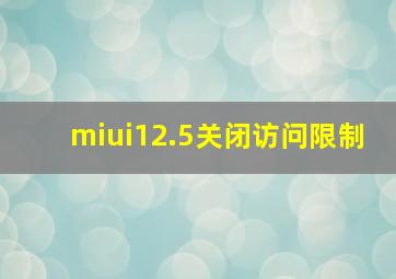 miui12.5关闭访问限制