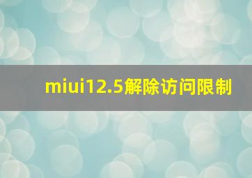 miui12.5解除访问限制