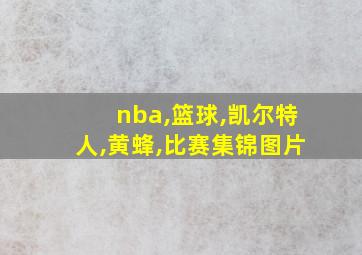 nba,篮球,凯尔特人,黄蜂,比赛集锦图片