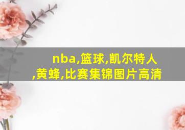 nba,篮球,凯尔特人,黄蜂,比赛集锦图片高清