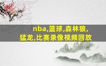 nba,篮球,森林狼,猛龙,比赛录像视频回放