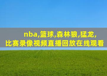 nba,篮球,森林狼,猛龙,比赛录像视频直播回放在线观看