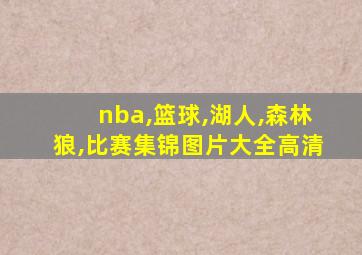 nba,篮球,湖人,森林狼,比赛集锦图片大全高清