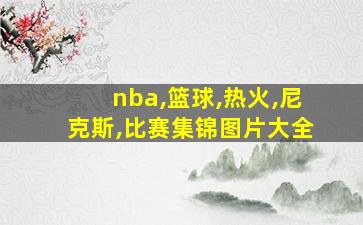 nba,篮球,热火,尼克斯,比赛集锦图片大全