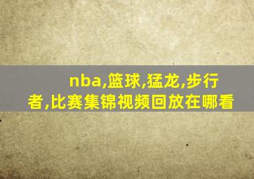 nba,篮球,猛龙,步行者,比赛集锦视频回放在哪看