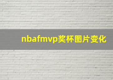 nbafmvp奖杯图片变化