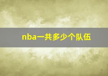 nba一共多少个队伍